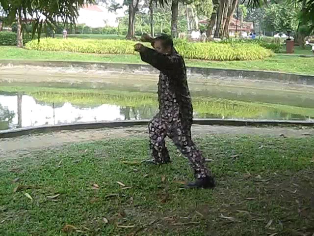 Shaolin 72 Chin-Na Techniques 2015